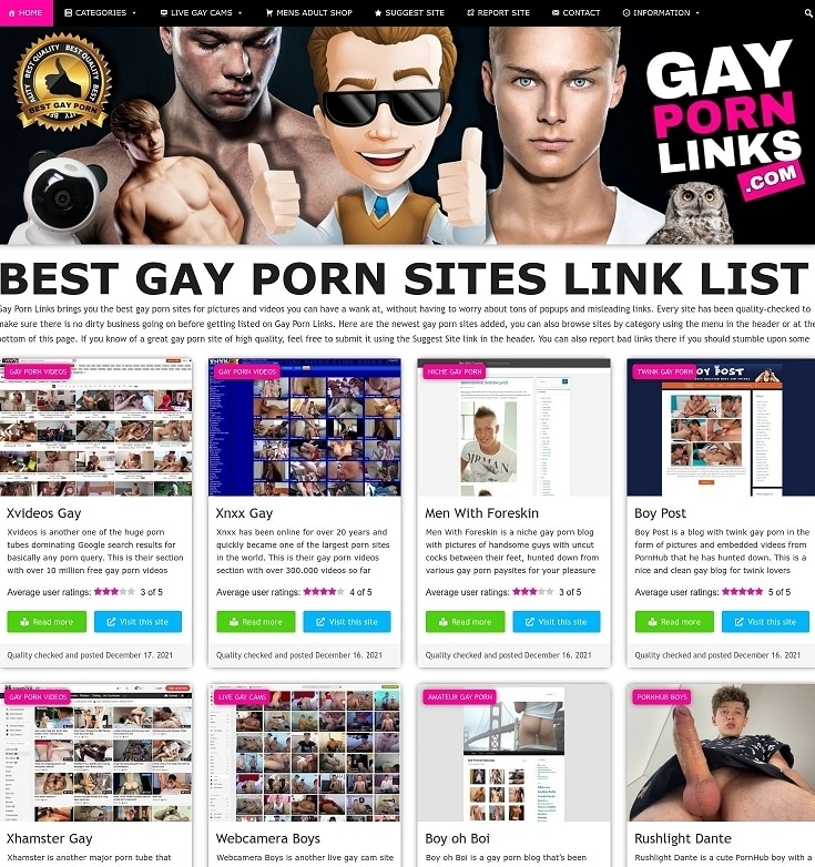 Gay porn link list image